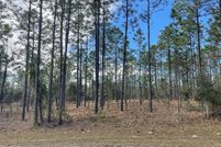Land for sale in Levy County, Florida