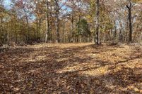 Land for sale in Wayne County, Missouri