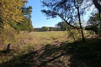 Undeveloped Land for sale in Fannin County, Texas