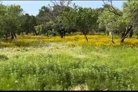 Undeveloped Land for sale in Young County, Texas