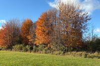 Homesite for sale in Allegan County, Michigan
