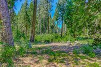 Undeveloped Land for sale in Calaveras County, California
