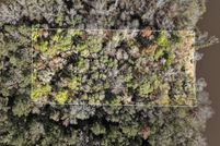 Land for sale in Greene County, Mississippi