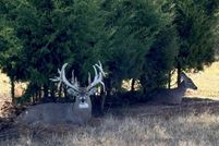 Commercial Property for sale in Okfuskee County, Oklahoma