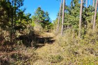 Land for sale in Liberty County, Florida