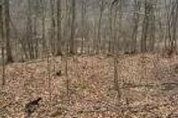 Lakefront Property for sale in Grayson County, Kentucky