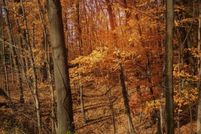 Land for sale in Gratiot County, Michigan