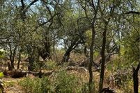 Land for sale in Wilson County, Texas