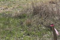 Land for sale in Guadalupe County, Texas