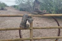 Land for sale in San Patricio County, Texas