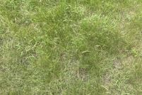 Land for sale in Bell County, Texas