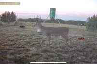 Land for sale in Lampasas County, Texas