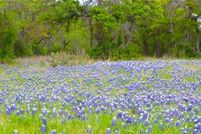 Land for sale in Bell County, Texas