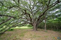 Land for sale in Caldwell County, Texas