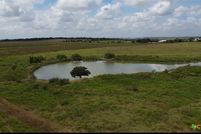 Land for sale in Hays County, Texas