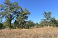Land for sale in Gonzales County, Texas