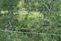 Land for sale in Guadalupe County, Texas