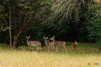 Land for sale in McLennan County, Texas