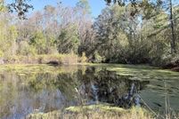 Homesite for sale in Brantley County, Georgia