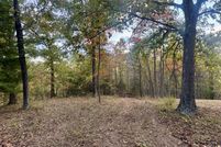 Undeveloped Land for sale in Douglas County, Missouri