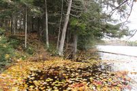 Undeveloped Land for sale in Gogebic County, Michigan