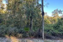 Undeveloped Land for sale in Dixie County, Florida