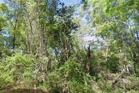 Land for sale in Dixie County, Florida
