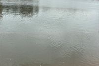 Lakefront Property for sale in Abbeville County, South Carolina