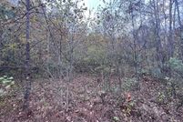 Undeveloped Land for sale in Letcher County, Kentucky