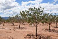 Land for sale in Otero County, New Mexico