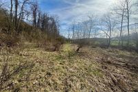 Undeveloped Land for sale in Roane County, West Virginia