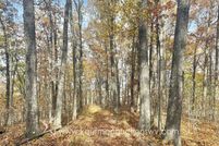 Land for sale in Gilmer County, West Virginia