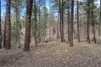 Homesite for sale in Navajo County, Arizona