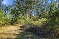 Land for sale in Madison County, Florida