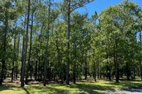 Timberland Property for sale in Brunswick County, North Carolina