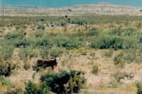 Land for sale in Hudspeth County, Texas