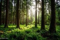 Land for sale in Schuylkill County, Pennsylvania