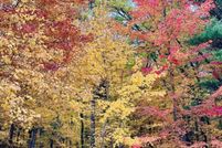 Land for sale in Adams County, Wisconsin