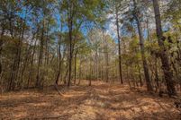 Undeveloped Land for sale in Chilton County, Alabama