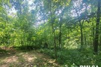 Undeveloped Land for sale in Wayne County, Illinois