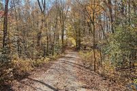 Timberland Property for sale in Essex County, Virginia