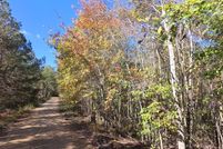 Undeveloped Land for sale in Winston County, Alabama