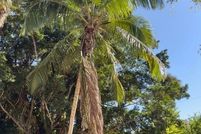 Land for sale in Lee County, Florida