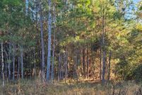 Land for sale in Lowndes County, Georgia