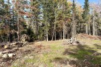 Land for sale in Washington County, Maine