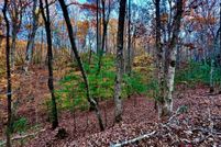 Undeveloped Land for sale in Gilmer County, Georgia