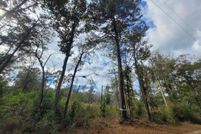 Land for sale in Jasper County, Texas