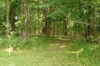 Undeveloped Land for sale in Hamilton County, Indiana