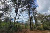 Land for sale in Jasper County, Texas