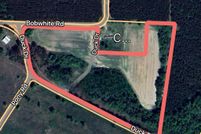 Land for sale in Bacon County, Georgia